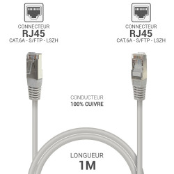 Câble réseau RJ45 Cat. 6a 100% cuivre S/FTP LSOH gris 1.00m