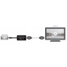 Adaptateur USB 3.1 Type C mâle / HDMI femelle 0.15m