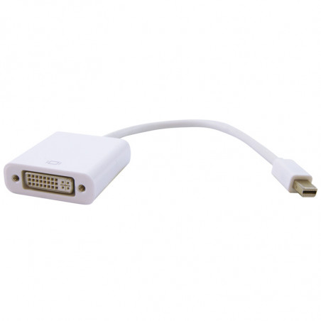 Adaptateur passif mini DisplayPort 1.2 mâle/DVI Femelle cordon 0.15m