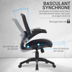 Chaise de bureau ergonomique avec accoudoirs - AVIOR
