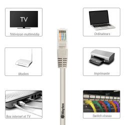 Câble réseau RJ45 Cat. 6 non blindé UTP gris 20.00m