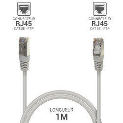 Câble Réseau Ethernet RJ45 Cat 5e FTP blindé Gris 1m