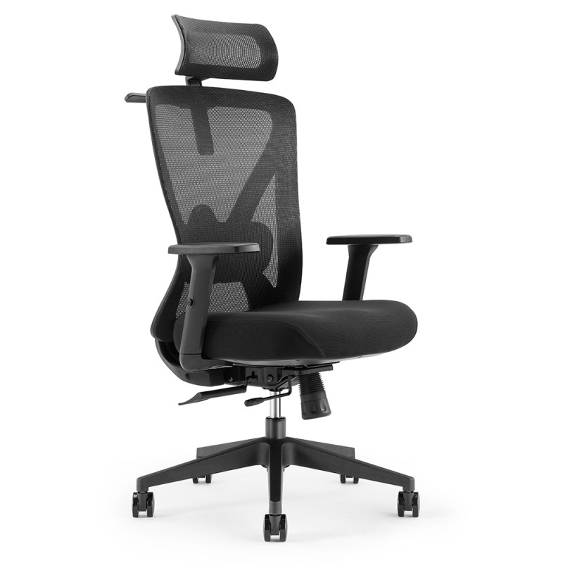 Fauteuil de Bureau soutien lombaire et accoudoirs réglables noir