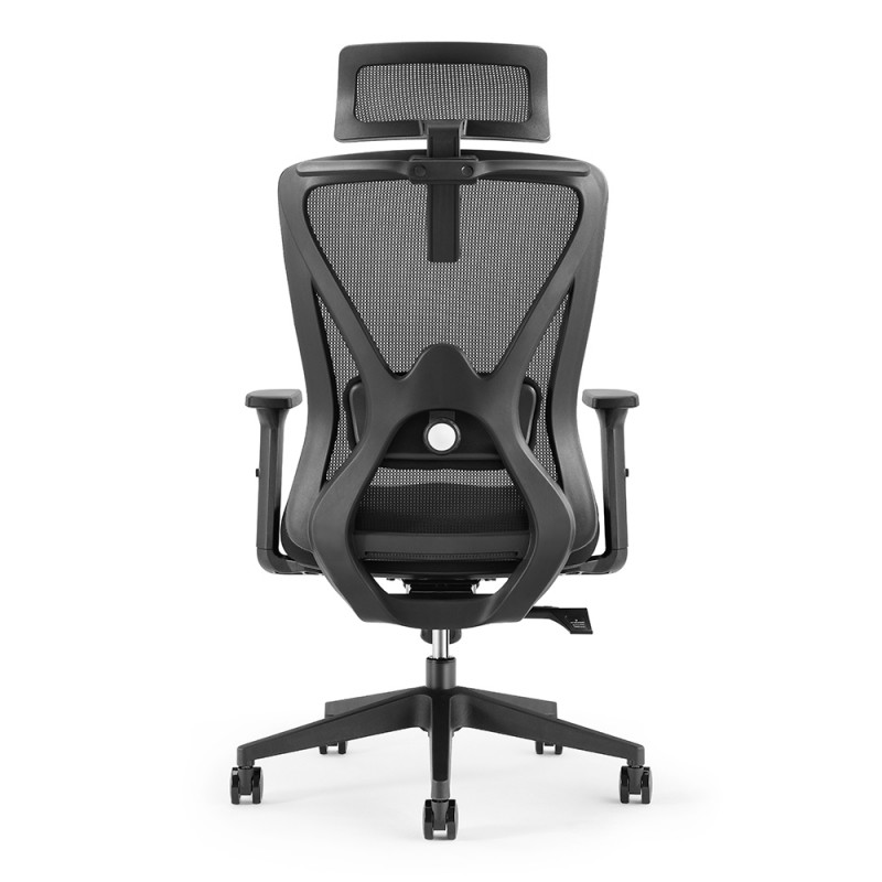 Chaise De Bureau Ergonomique DEVAISE - Dossier En Maille, Support Lombaire Réglable, Accoudoirs Rabattables - Charge Max 136kg