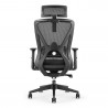 Fauteuil de Bureau soutien lombaire et accoudoirs réglables noir
