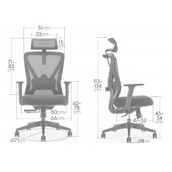 Fauteuil de Bureau soutien lombaire et accoudoirs réglables noir