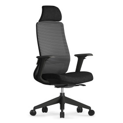 Fauteuil Bureau accoudoirs ajustables et hauteur...