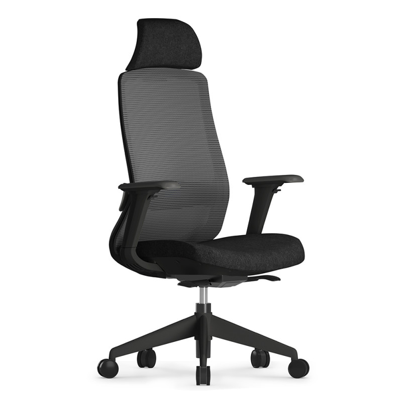 Fauteuil Bureau accoudoirs ajustables et hauteur réglable, noir