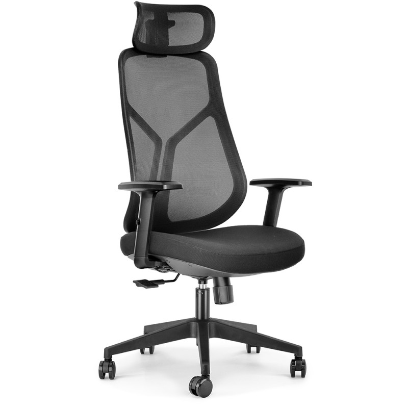 fauteuil bureau ergonomique professionnel