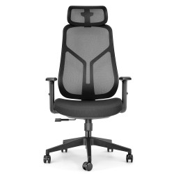 Fauteuil bureau synchrone mesh appui-tête réglable ergonomique