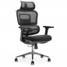 Fauteuil Bureau Ergonomique maille, soutien lombaire, appui-tête