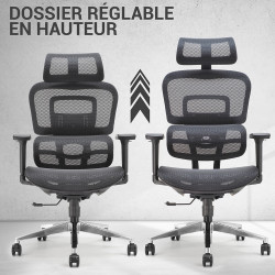 Fauteuil de Bureau Ergonomique - Mesh Respirant & Réglages Multiples