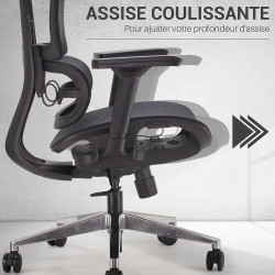 Fauteuil de Bureau Ergonomique - Mesh Respirant & Réglages Multiples