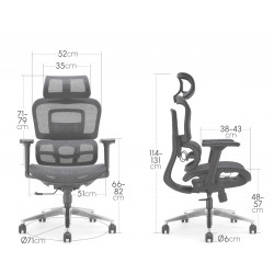 Fauteuil de Bureau Ergonomique - Mesh Respirant & Réglages Multiples