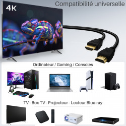 Câble HDMI 2.0 4K@60Hz Premium Longueur 10m 