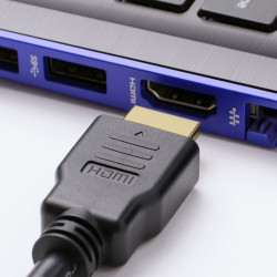 Cordon HDMI Premium High Speed with Ethernet 2.0 A/A 4K C. Or 20.00m