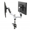 Bras articulé 2 écrans fixation pince bureau verin pneumatique