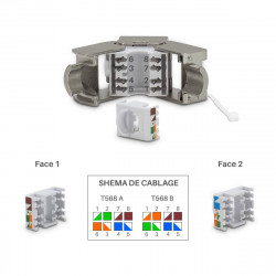 Lot de 4 Embases RJ45 Cat6a FTP Keystone sans outil - blindé métal