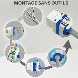 Lot de 24 Embases Keystone RJ45 courte Cat6a UTP sans outil