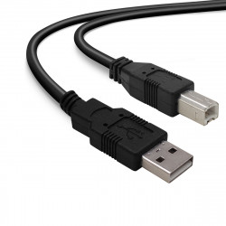 Rallonge USB 2.0 - 0.60m beige
